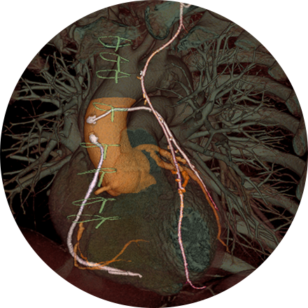 Chest Imaging icon