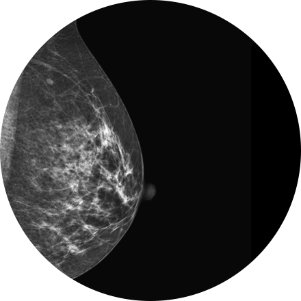 Breast Imaging icon